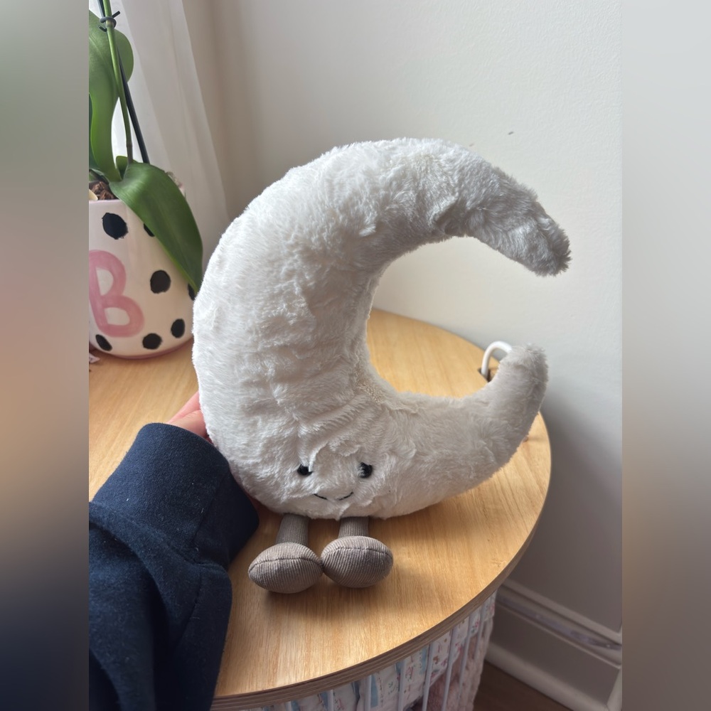moon jellycat